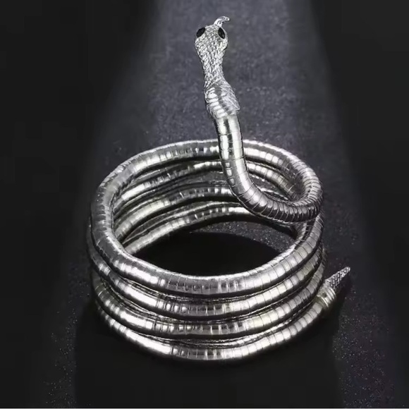 Silver Serpenti Snake Necklace-Bracelet Multifunctional - Picture 9 of 17